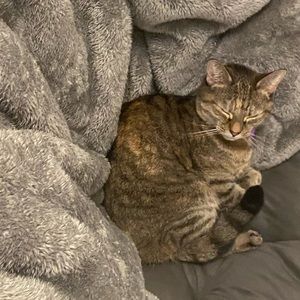 Meet your Posher, Phenwick